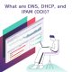 enterprise DNS appliances