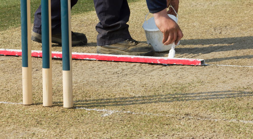 vimps at the crease